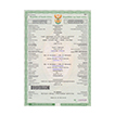 vehicle registration certificate renewal services